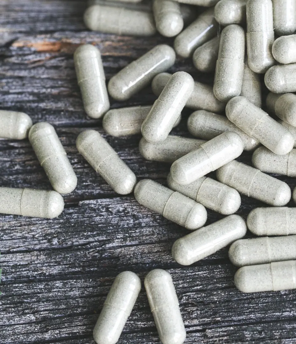 Ibogaine and Addiction Recovery: A New Approach to Long-Term Healing