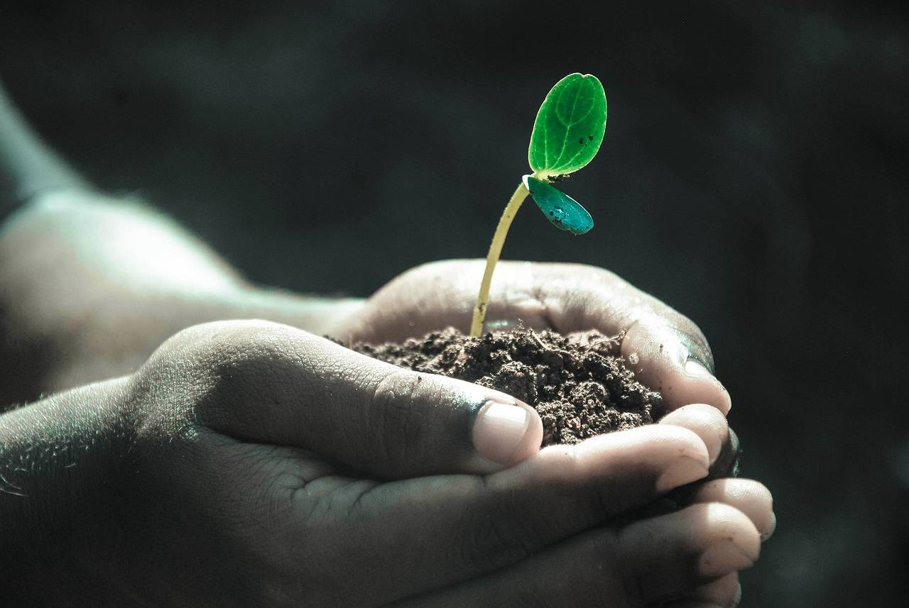 Ibogaine Integration and Aftercare – Support for Your Long-Term Healing