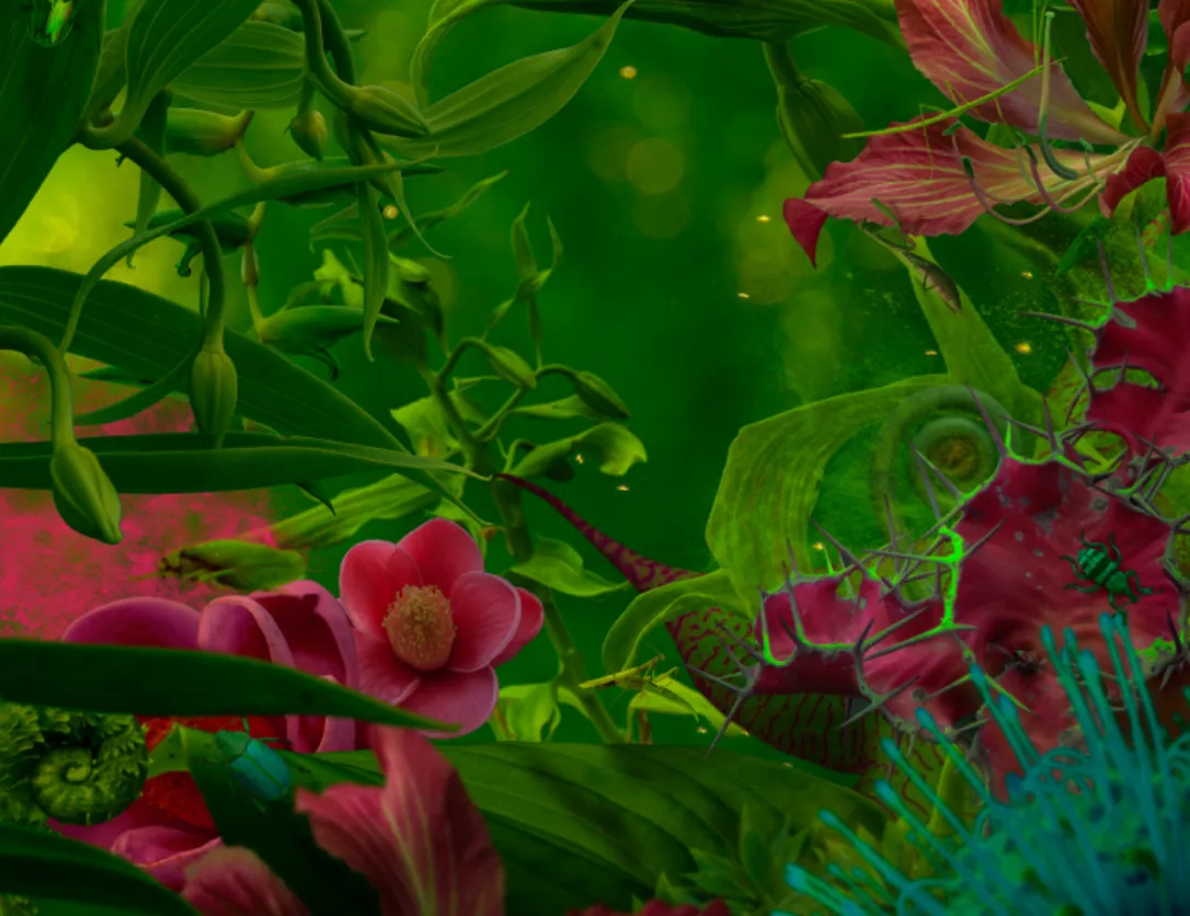 What to Expect Before, During, and After an Ibogaine Treatment