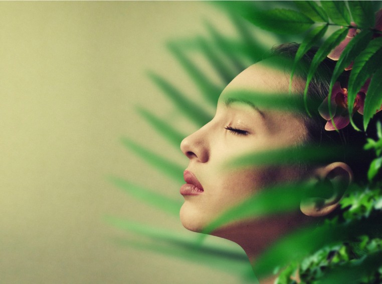 Healing Deep Wounds: Plant Medicine Trauma Retreats at Bassé Ibogaine
