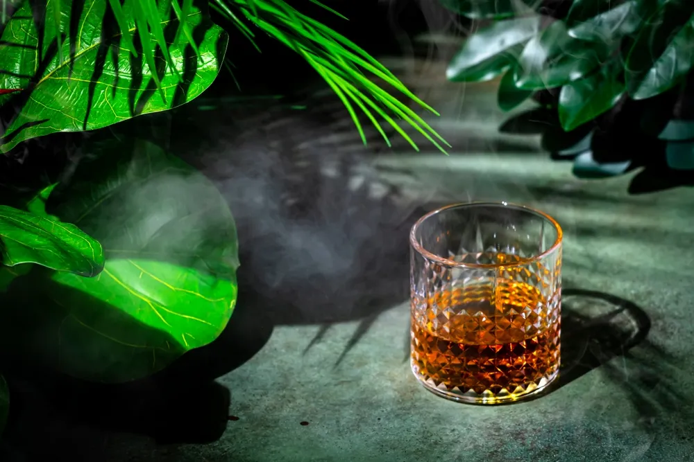 Quiet reflection — ibogaine helps veterans process moral injury and trauma in a safe, supervised setting